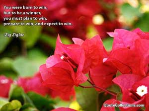 zig_ziglar_quotes Quotes 1
